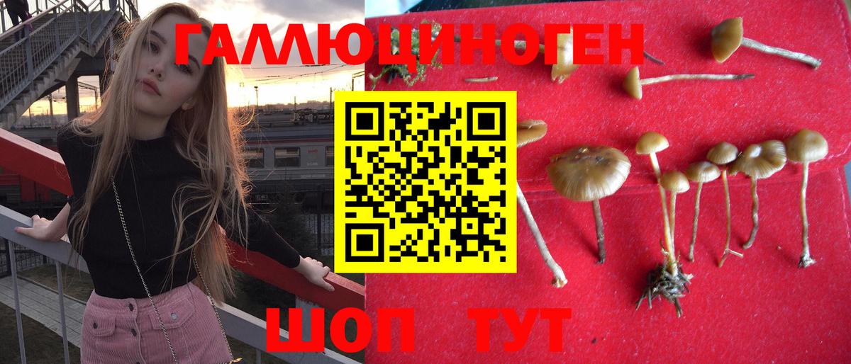 Галлюциногенные грибы GOLDEN TEACHER Ейск