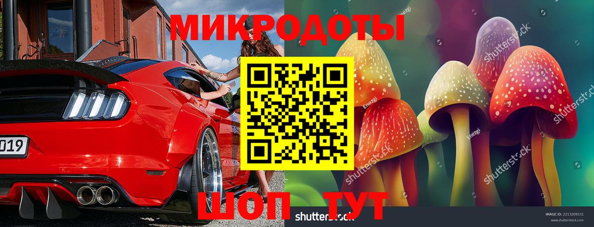 Ейск  Галлюциногенные грибы Cubensis  Вход с VPN 