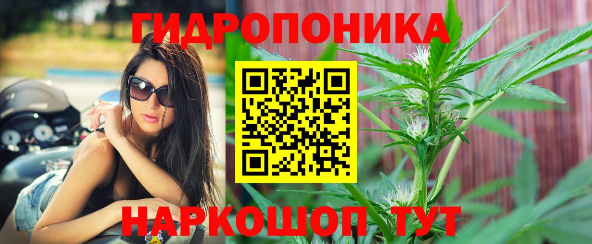 Ейск  Каннабис индика  Вход с VPN  Шишки марихуана White Widow 